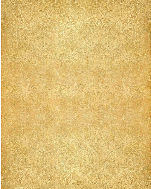 PS֮Ů