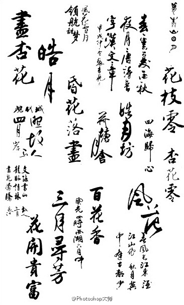 PS鷨ҹŷ