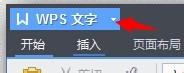 wpsĬϱΪ.docļ
