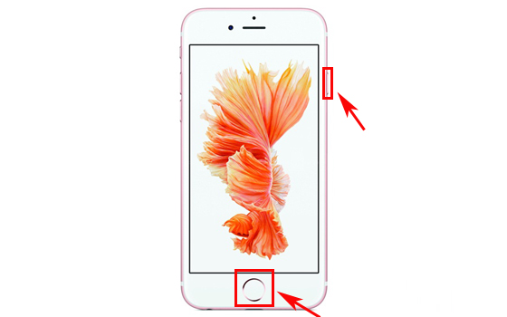 ƻiPhone7ôͼ   
